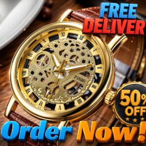 Luxury Pinbo Transparent Skeleton Dial Watch for Men